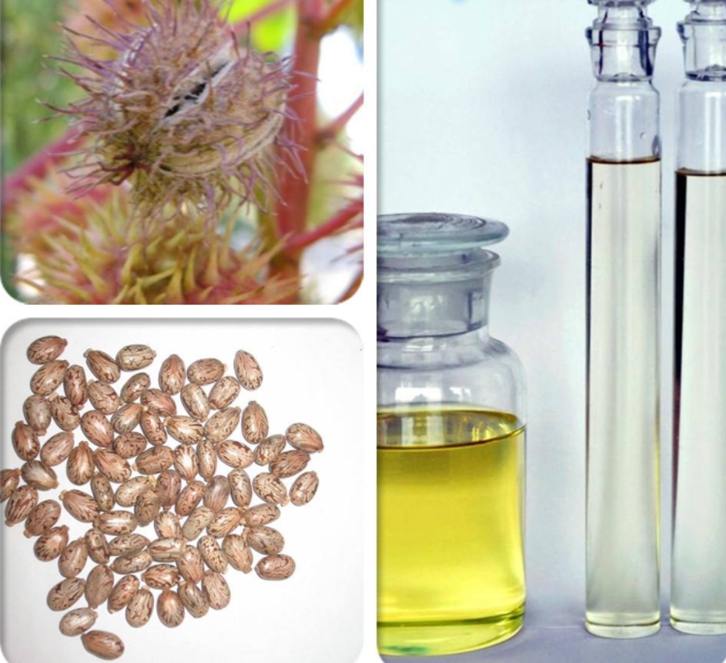 蓖麻油進口關稅