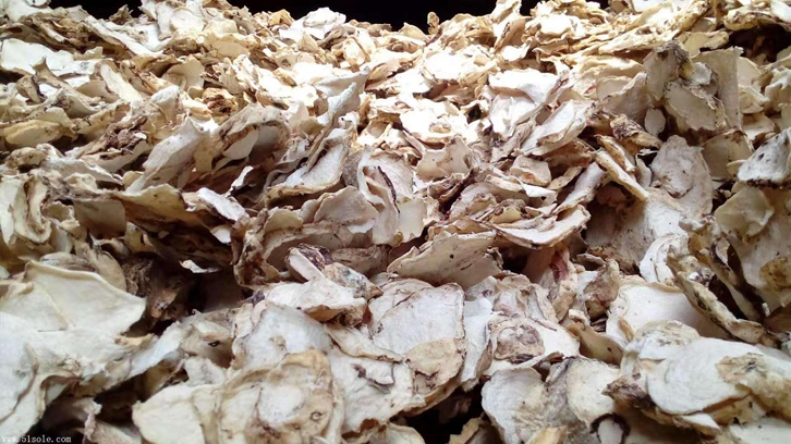 印尼魔芋可以進(jìn)口嗎