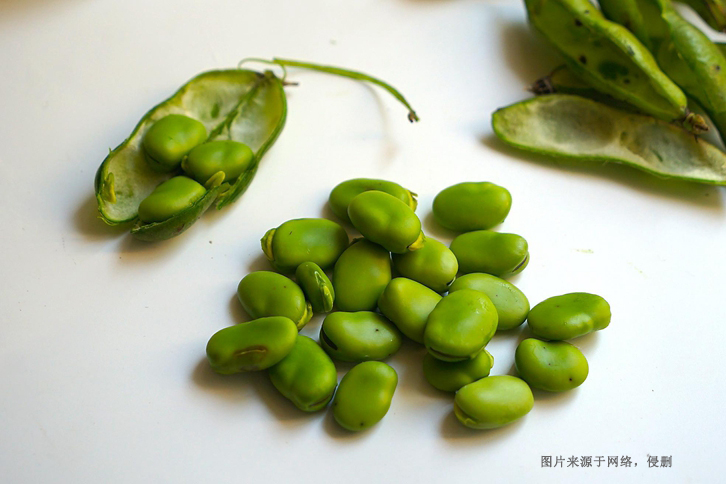 新西蘭蠶豆進口報關費用