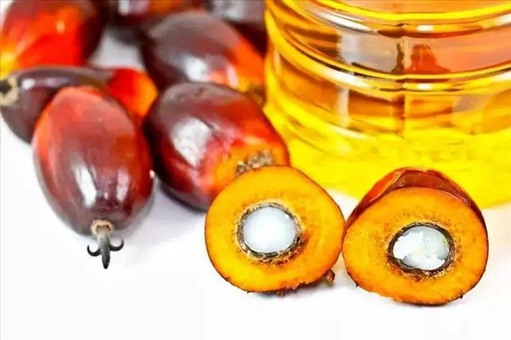 印度尼西亞棕櫚油進(jìn)口清關(guān)