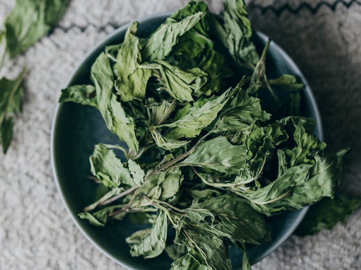 加拿大薄荷進(jìn)口報關(guān)流程