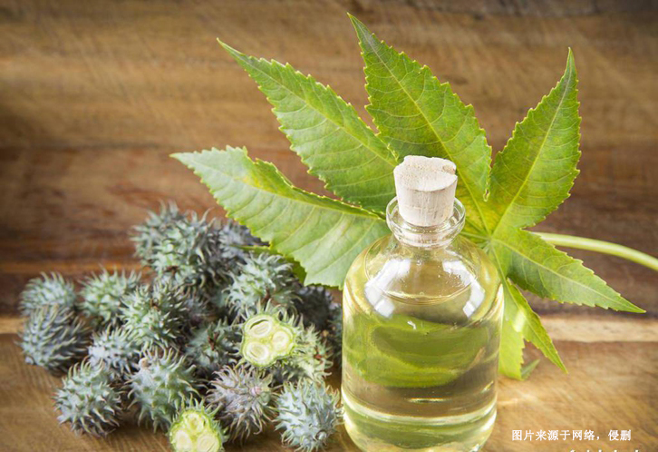 印度精煉蓖麻油進口報關(guān)流程