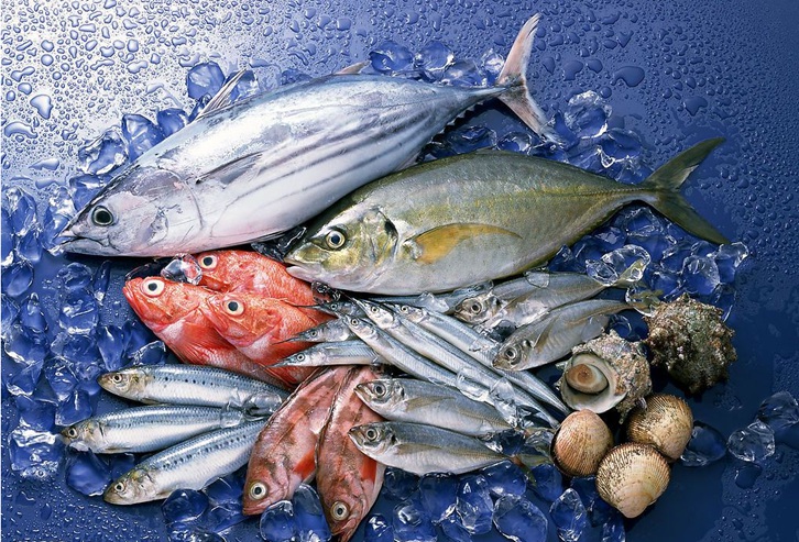 冷凍魚進(jìn)口報(bào)關(guān)貨代