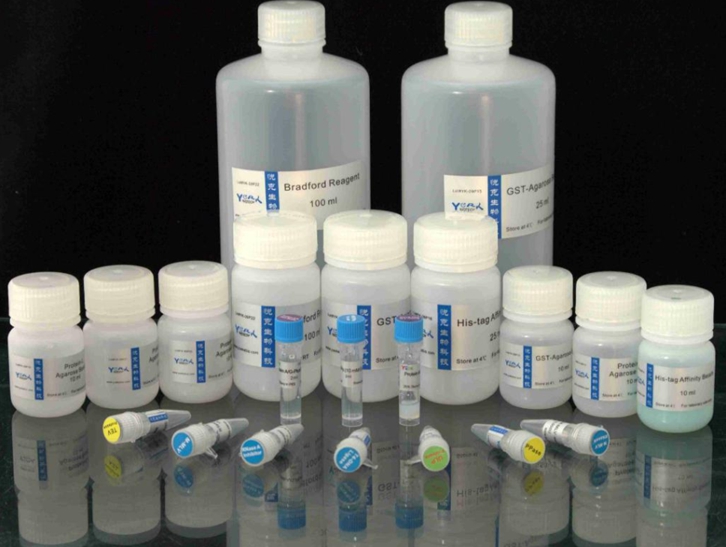 生物試劑進口報關公司