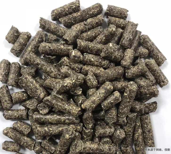 俄羅斯葵花籽粕進口報關資料