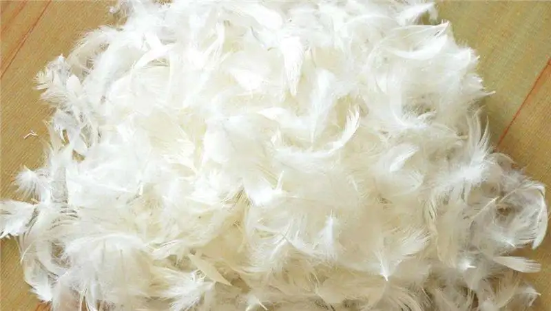 匈牙利羽絨鴨毛進(jìn)口報關(guān)資料