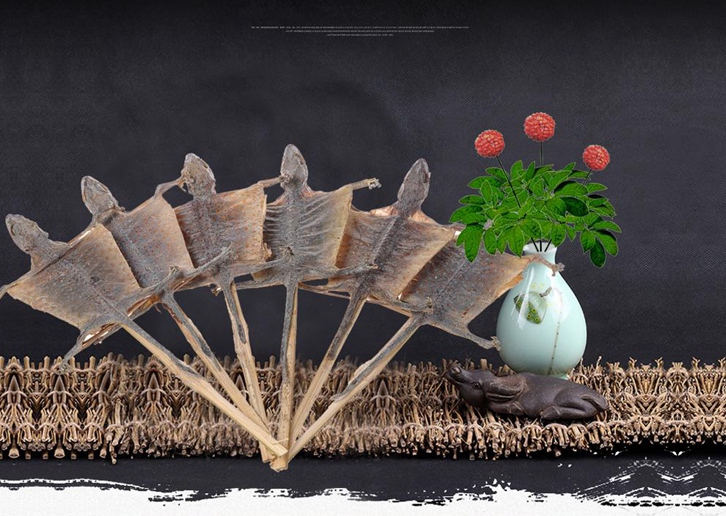 蛤蚧進口報關(guān)代理_大壁虎進口清關(guān)流程