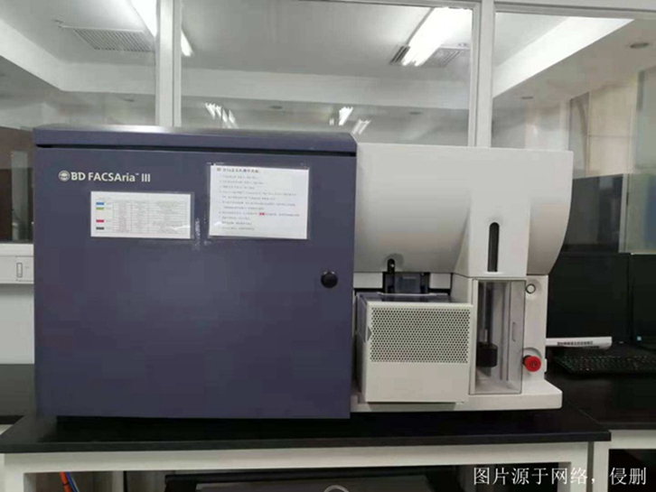 深圳舊半導體設備進口清關流程