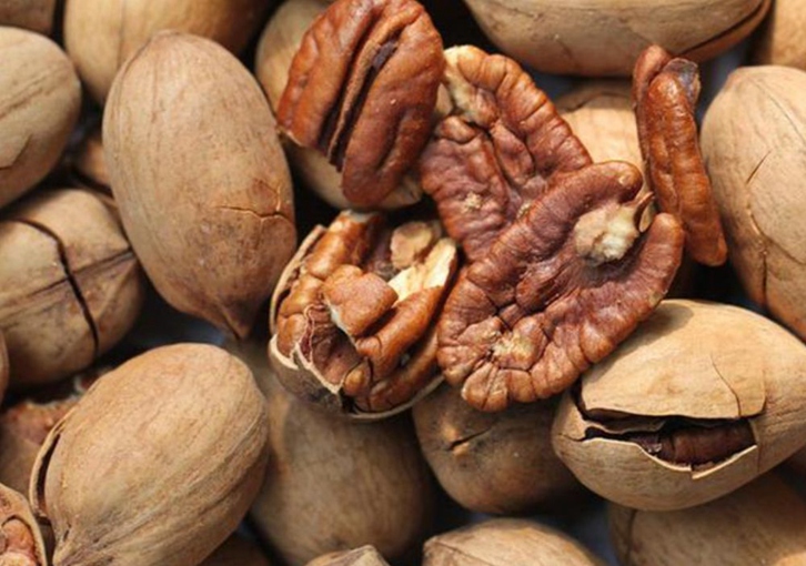 深圳碧根果進口報關(guān)公司