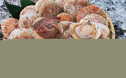 菲律賓扇貝進(jìn)口報(bào)關(guān)原來沒那么復(fù)雜