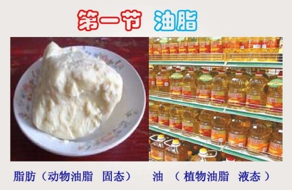 動物油脂進(jìn)口報(bào)關(guān)代理難點(diǎn)以及所需資料