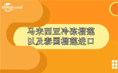 馬來西亞冷凍榴蓮以及泰國榴蓮進口報關公司