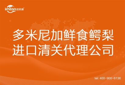 多米尼加鮮食鱷梨進口清關代理公司