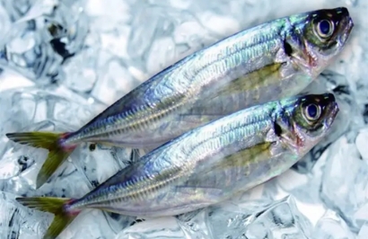 廈門(mén)港冷凍海鮮報(bào)關(guān)之前，建議了解清楚這些事