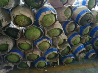 進(jìn)口越南菠蘿蜜空運(yùn)報(bào)關(guān)的流程_進(jìn)口越南水果準(zhǔn)入