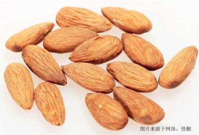 佛山進(jìn)口越南扁桃仁報關(guān)資料代理堅果食品海運(yùn)案例