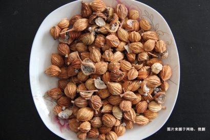 越南豆蔻到深圳港進口清關(guān)操作流程及細(xì)節(jié)｜詳解信息