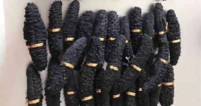 澳大利亞海參進口報關(guān)資料9樣-深圳水產(chǎn)品報關(guān)行