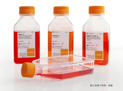 德國細(xì)胞培養(yǎng)試劑進(jìn)口報(bào)關(guān)資料_上海空運(yùn)生物試劑