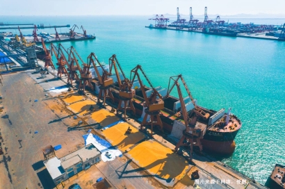 上海浦東機場進口清關公司哪家好？上海報關行排名