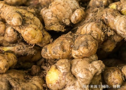 越南生姜進口清關(guān)流程_胡志明港香料海運進口費用