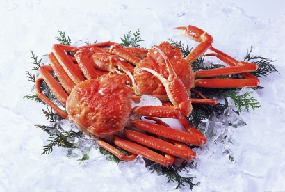 深圳帝王蟹進(jìn)口清關(guān)代理服務(wù)