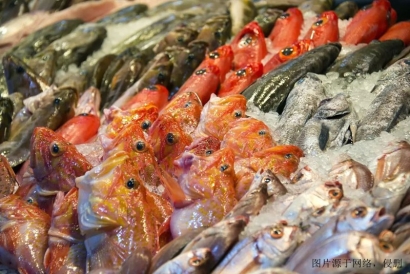 水產(chǎn)品進(jìn)口清關(guān)報關(guān)報費用流程_加拿大金線魚報關(guān)