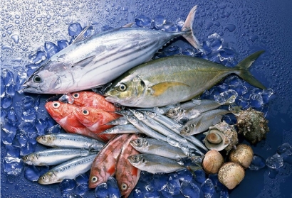 長沙進口菲律賓冷凍魚清關(guān)流程_冷凍海鮮空運費用