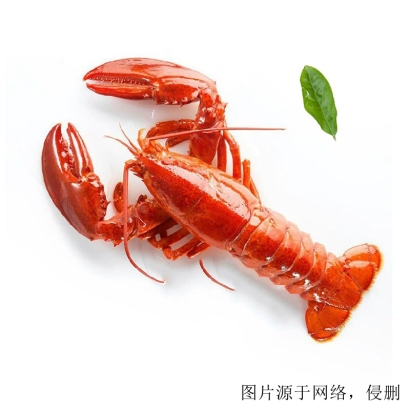 龍蝦進(jìn)口怎么清關(guān)？加拿大龍蝦進(jìn)口報(bào)關(guān)的流程單證