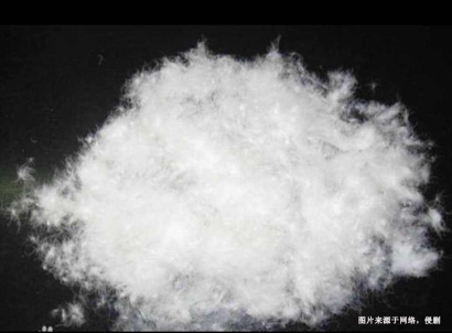 越南鴨毛進口清關(guān)流程_水洗鴨毛進口報關(guān)關(guān)稅多少