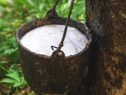 在大連橡膠進口清關流程怎么樣？越南橡膠進口關稅