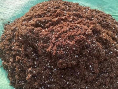 青島進(jìn)口清關(guān)報關(guān)公司代理椰糠進(jìn)口報關(guān)費用