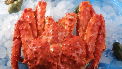 上海進(jìn)口挪威帝王蟹報(bào)關(guān)流程_螃蟹進(jìn)口報(bào)關(guān)資料關(guān)稅