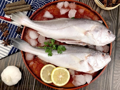 印度叫姑魚進(jìn)口報(bào)關(guān)流程及資料-19年冷凍魚報(bào)關(guān)行