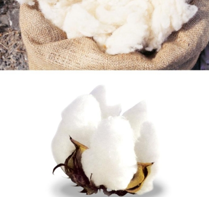 羊毛進口清關(guān)要多久_澳大利亞洗凈羊毛報關(guān)流程