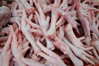 天津雞爪進(jìn)口報(bào)關(guān)費(fèi)用以及流程手續(xù)資料「快速通關(guān)」