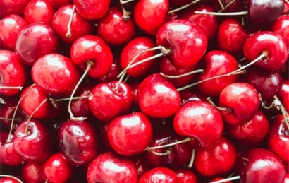 巴基斯坦櫻桃進(jìn)口報關(guān)所需資料以及進(jìn)口流程