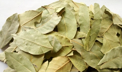 【進口香葉清關代理公司】告訴你香葉進口流程