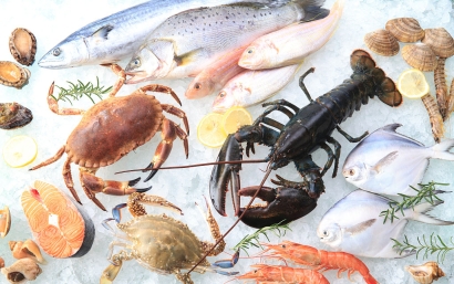 進口海鮮報關(guān)