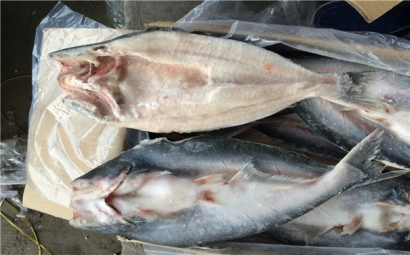 空運(yùn)海鮮進(jìn)口報(bào)關(guān)一般貿(mào)易進(jìn)口需要注意這些，來(lái)看看? 