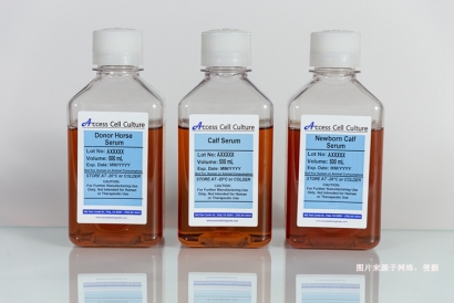 澳大利亞新生牛血清進(jìn)口報關(guān)資料到深圳生物制品案例
