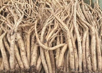 馬來西亞藥材進(jìn)口報關(guān)的流程手續(xù)很復(fù)雜么