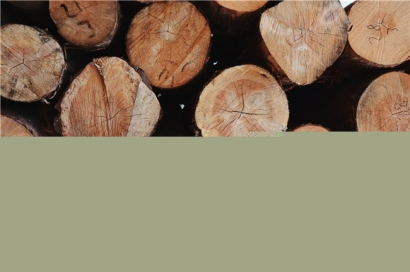 木材進口清關需要注意的內容