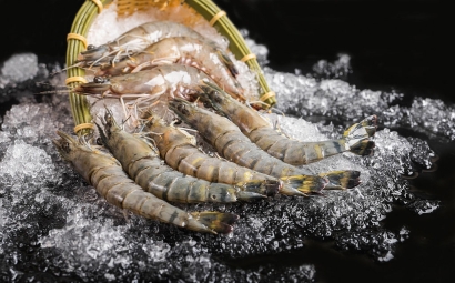 非洲海鮮進口清關(guān)