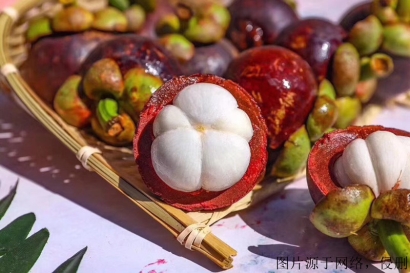 越南山竹進口清關資料_胡志明港海運水果到廣州費用