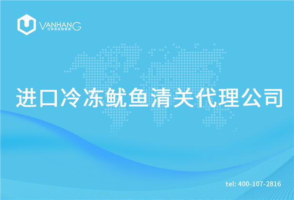 進口冷凍魷魚清關(guān)代理公司_副本.jpg