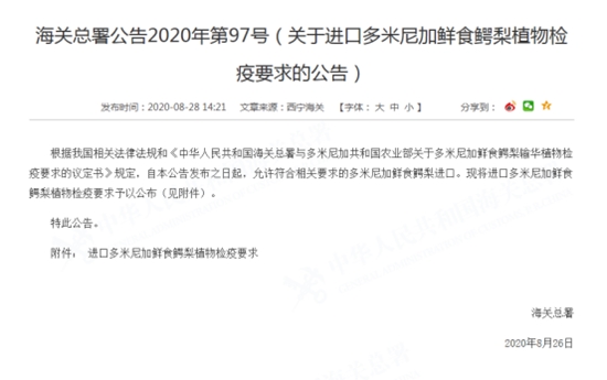 1598942755195767.jpg 進口多米尼加鱷梨清關