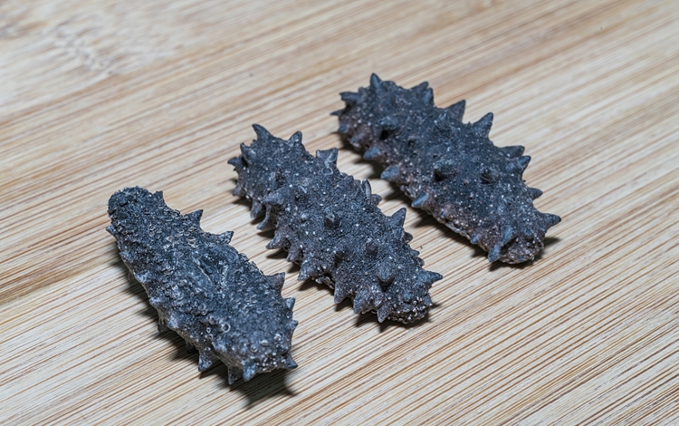 1597885652385512.jpg 仿刺參進口報關