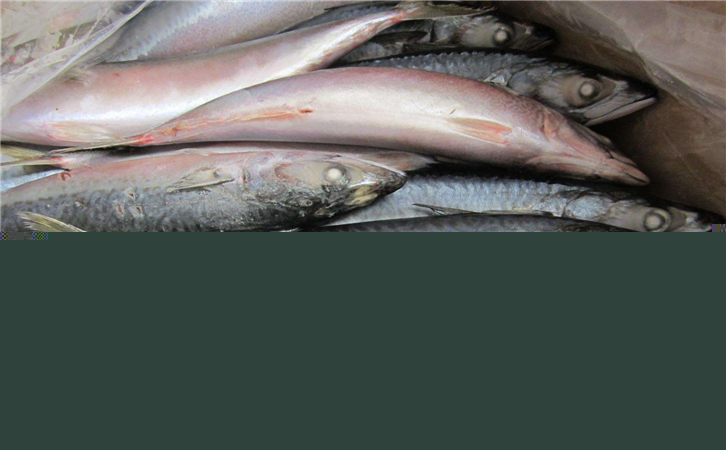 俄羅斯水產(chǎn)品進(jìn)口報(bào)關(guān)